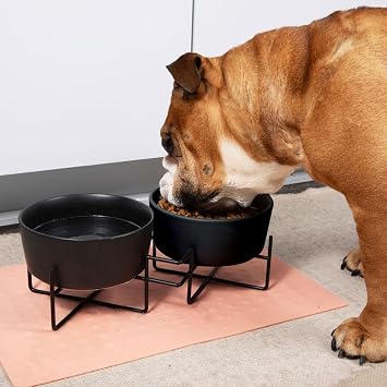 Waggo Simple Solid Double Dog Bowl and Dog Bowl Stand - Double Iron Stand with Double Ceramic Feeder or Water Bowl, Small or Large Dog Elevated Pet Feeder (Matte Black, Medium)