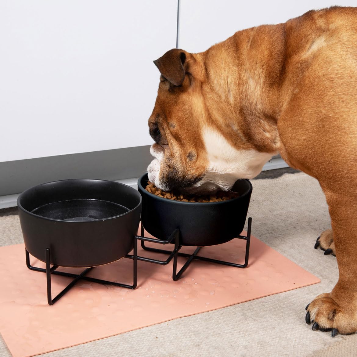 Waggo Simple Solid - Soporte doble para tazón y cuenco para perros – Soporte doble de hierro con doble comedero de cerámica o cuenco de agua, comedero elevado para perros pequeños o grandes (pequeño,