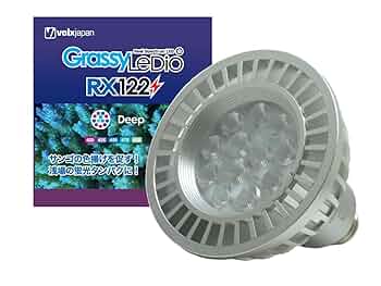 Amazon | ボルクスジャパン GrassyLeDio(グラッシーレディオ