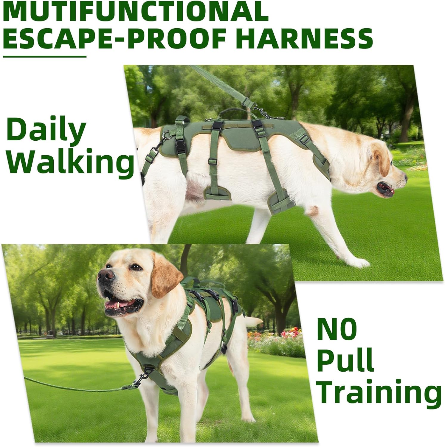 PUPTECK Dog Lift Harness for Medium Large Sized Dog, Rehabilitation Sling for Hind Leg Support, Multifunctional Mobility Assistance Harness for Old, Disabled, Joint Injuries, Paralysis Dogs, Green M