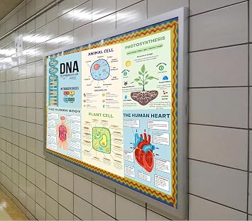 PINKEESEA 6 Science Posters for Classroom Middle School Classroom Must Haves - 10x14in Biology Posters for High School, Biology Decor, Middle School Supplies