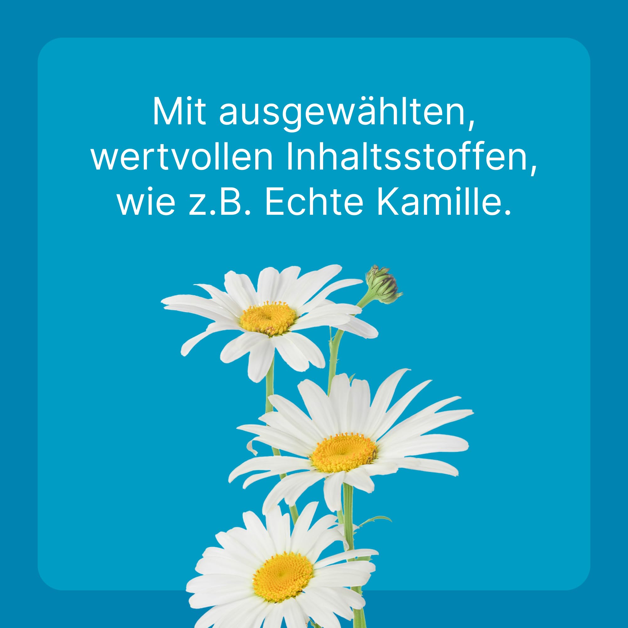 500 Tabletten, Wenn es im Bauch zwickt und zwackt! | Natürliches Tierarzneimittel für Hunde, Katzen und Pferde, Made in Germany