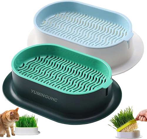 2 macetas de hierba para gatos para interiores, bandeja de brotes de semillas de trigo hidropónico, kit de cultivo de hierba de gato orgánica (no