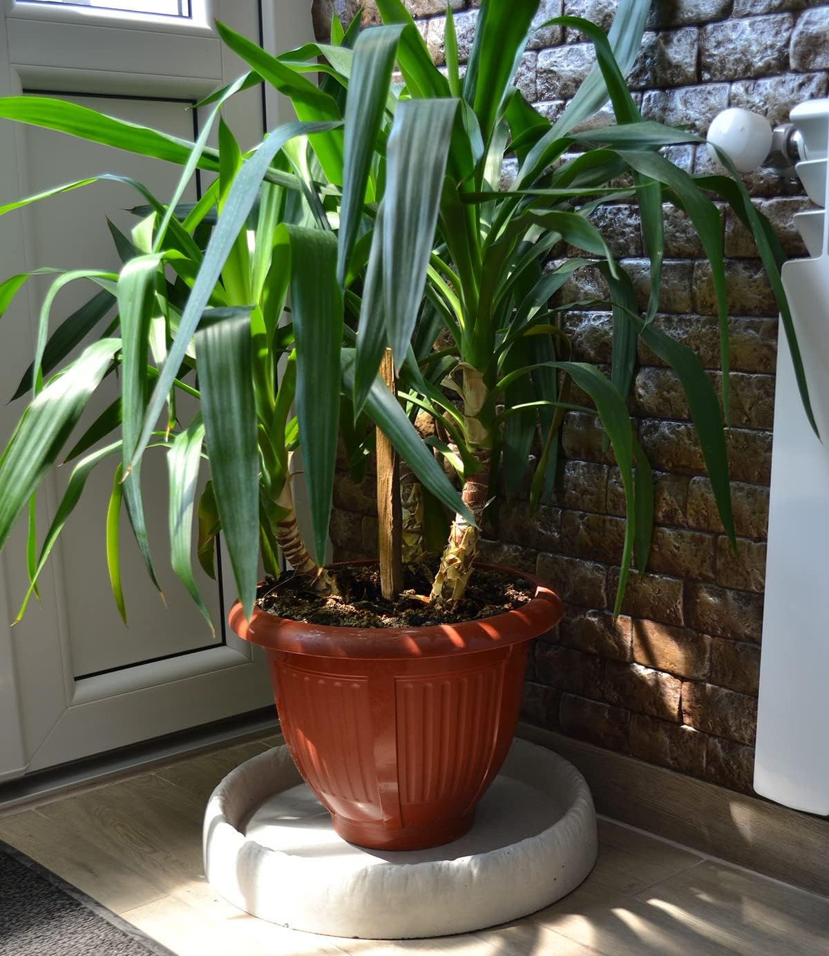 Concrete Mold DIY Large Round Tray 15.75 in Decorative Preiss Concrete Vanity Tray D73