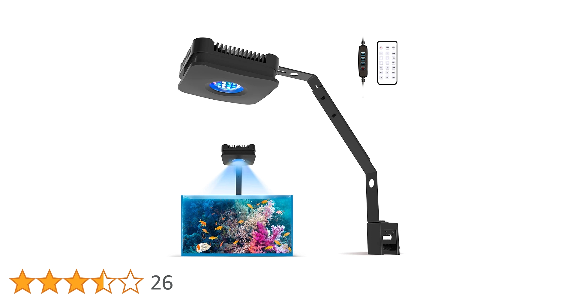 71CFjjSWv2L.jpg_BO30,255,255,