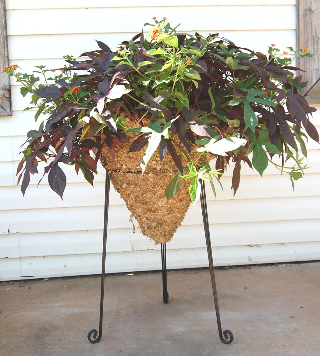 Cone Sphagnum Moss Basket - 18 Inch Top Diameter, Made in USA!