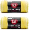Red Heart Super Saver Jumbo Icelandic Yarn - 2 Pack of 283g10oz - Acrylic - 4 Medium Worsted - 482 Yards - KnittingCrochet