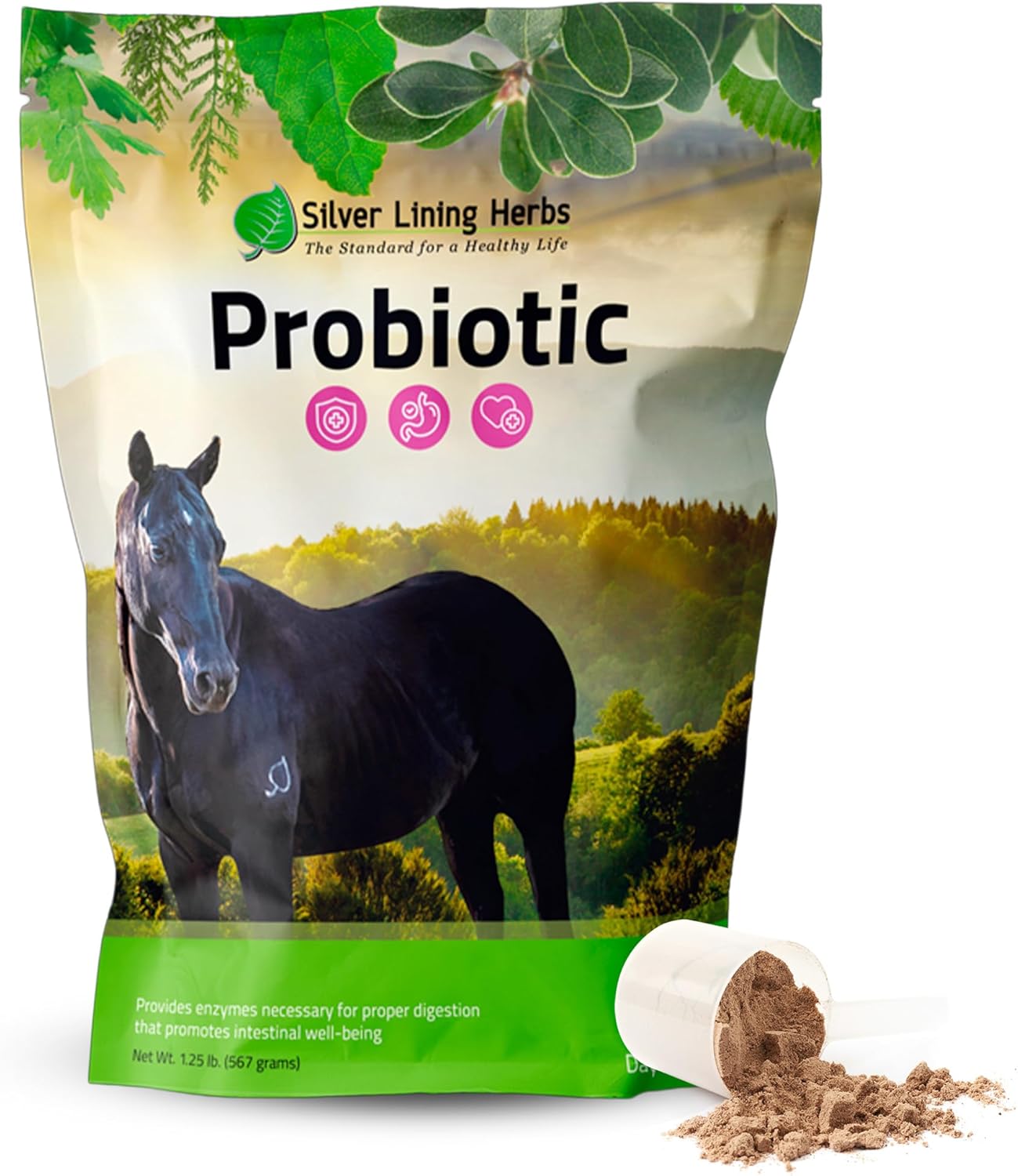 Silver Lining Herbs Horse Probiotics Digestive Supplements - Digestive Enzyme & Gut Health Probiotic Supplement for Horses - Contains 13.2 Billion CFUs Probiotic Strains - 1.25 lb 60-Day Supply