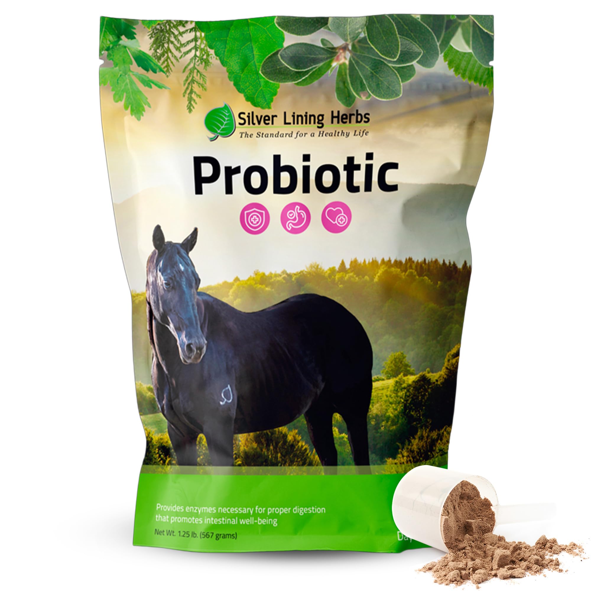 Silver Lining Herbs Horse Probiotics Digestive Supplements - Digestive Enzyme & Gut Health Probiotic Supplement for Horses - Contains 13.2 Billion CFUs Probiotic Strains - 1.25 lb 60-Day Supply