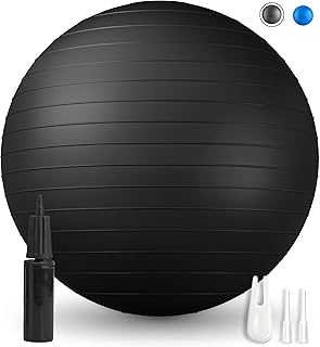 バランスボール 65cm - エクササイズボール トレーニング用 フィットネスボール ヨガボール アンチバースト ハンドポンプ付き 自宅・ジム・オフィスに最適