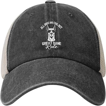 All Dogs are Cool But Great Dane Rule Outdoor Adventure Essential Cowboy Mesh Baseball Cap Black