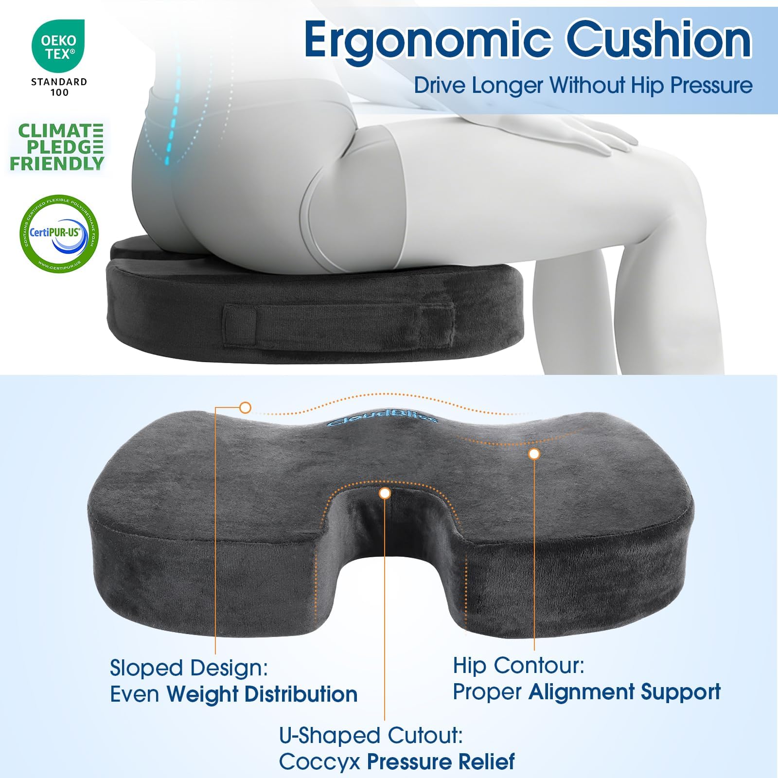 CloudBliss Lumbar Pillows