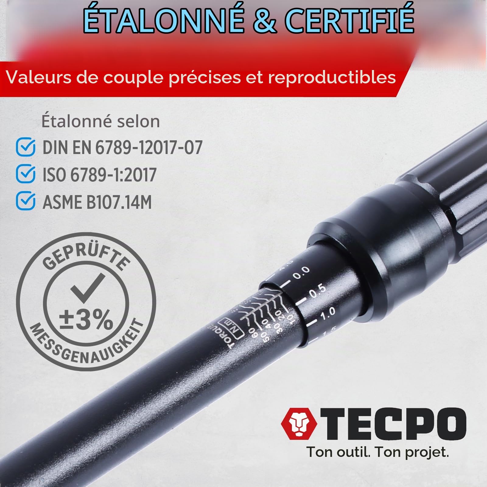 TECPO Jeu de clés dynamométriques pour moto 3/8" 5-60 Nm Clé à gradation fine