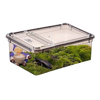 Amazon.co.jp: 飼育ボックス、耐摩耗性と耐久性があり、変形や