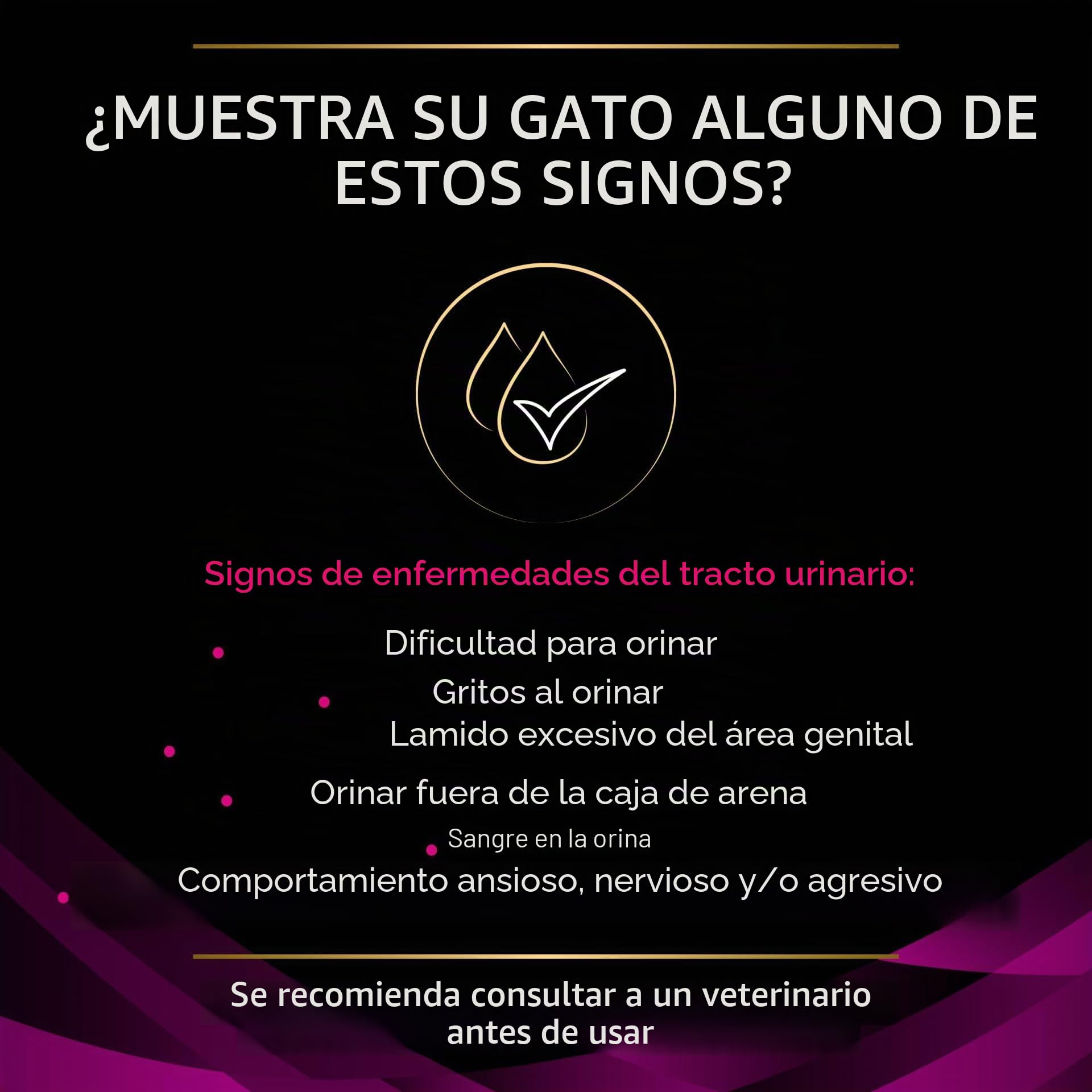 Purina PRO PLAN Dietas Veterinarias UR St/Ox Urinary Pollo | Paquete Doble | 2 x 10 x 85 g | Alimento Completo Dietético para Gatos | para Apoyo del Tracto Urinario
