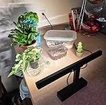 Review Image by marcus