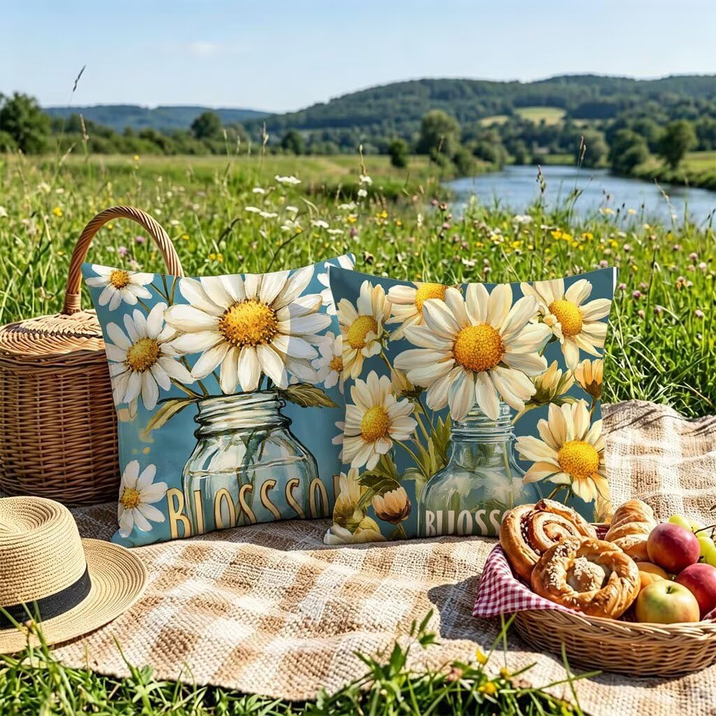 Cuscini per Divano Fiori Set da 2 Velluto Copricuscini 70x70 u-401 | Cuscini Divano Esterno, Cuscino Letto Copricuscino Bottiglia Federa Cuscino, Room Decor, Decorazioni Giardino per Esterno