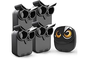 Home Security Driveway Alarm: Extend Your Perimeter's Reach