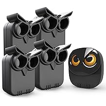 1/2 Mile Alarme d'all&eacute;e sans fil longue port&eacute;e Capteur de mouvement r&eacute;sistant aux intemp&eacute;ries ext&eacute;rieur & D&eacute;tecteur-Accueil & Bureau Syst&egrave;me d'alerte de s&eacute;curit&eacute; bricolage-Moniteur et protection Propri&eacute;t&eacute; ext&eacute;rieure / int&eacute;rieure - 1 r&eacute;cepteur et 4 capteurs