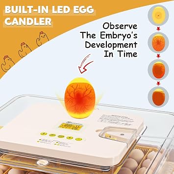 Sailnovo Incubators for Hatching Eggs 56 Egg Incubator with Auto Egg Turning and Auto Humidification, Temperature Control, Incubator for Chicken Duck Quail Eggs, Perfect for Lab School Farm
