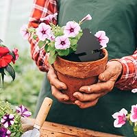 Capcane adezive galbene Blooven pentru musculițe negre, pentru plante de interior, pachet de 30 de bucăți 4