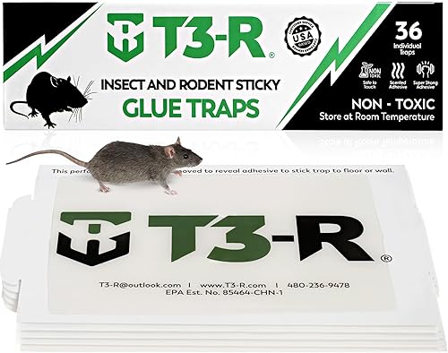 T3-R Trampas adhesivas de pegamento para ratones y ratones  Tablas de pegamento para ratones e insectos  Trampas de pegamento desechables no tóxicas