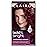 Clairol Bold & Bright Permanent Hair Dye, R6 Intense Cherry Hair Color, Pack of 1