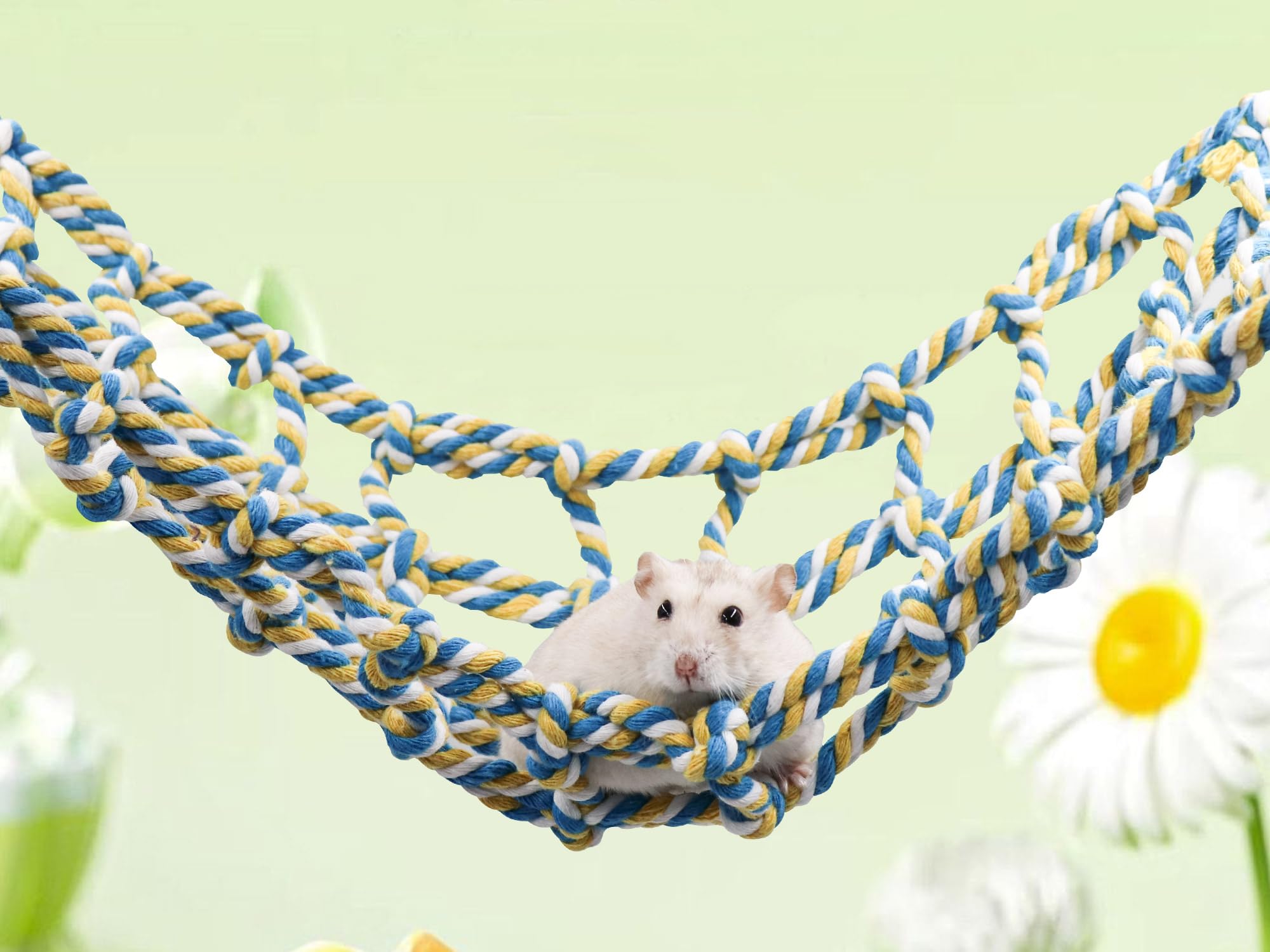 Buntes Vogel-Seilnetz, Haustier-Hängematte, Leiterbrücke, Kleintierspielzeug, Käfig-Dekor-Zubehör für Ratten, Hamster, Vögel, Frettchen