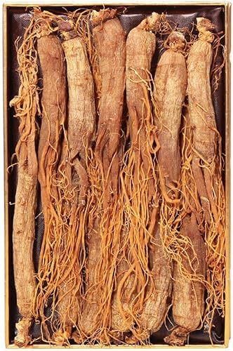Raíces de ginseng rojo raíz entera - Raíces de ginseng rojo Panax Ginseng rojo ginseng rojo coreano Suplemento de ginseng rojo ginseng rojo (3.03