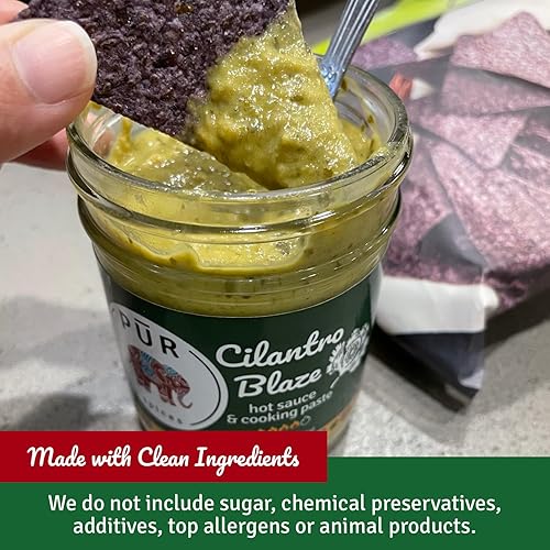 Miniatura 4 de PUR Spices Cilantro Blaze I Salsa picante y pasta de cocina I Cilantro fresco, ajo, lima y pimientos picantes I a base de plantas, sin gluten, sin