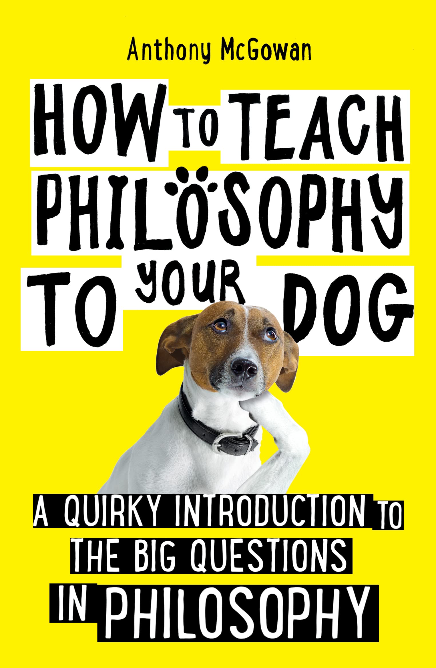 Anthony McGowan How to Teach Philosophy to Your Dog Paperback Book