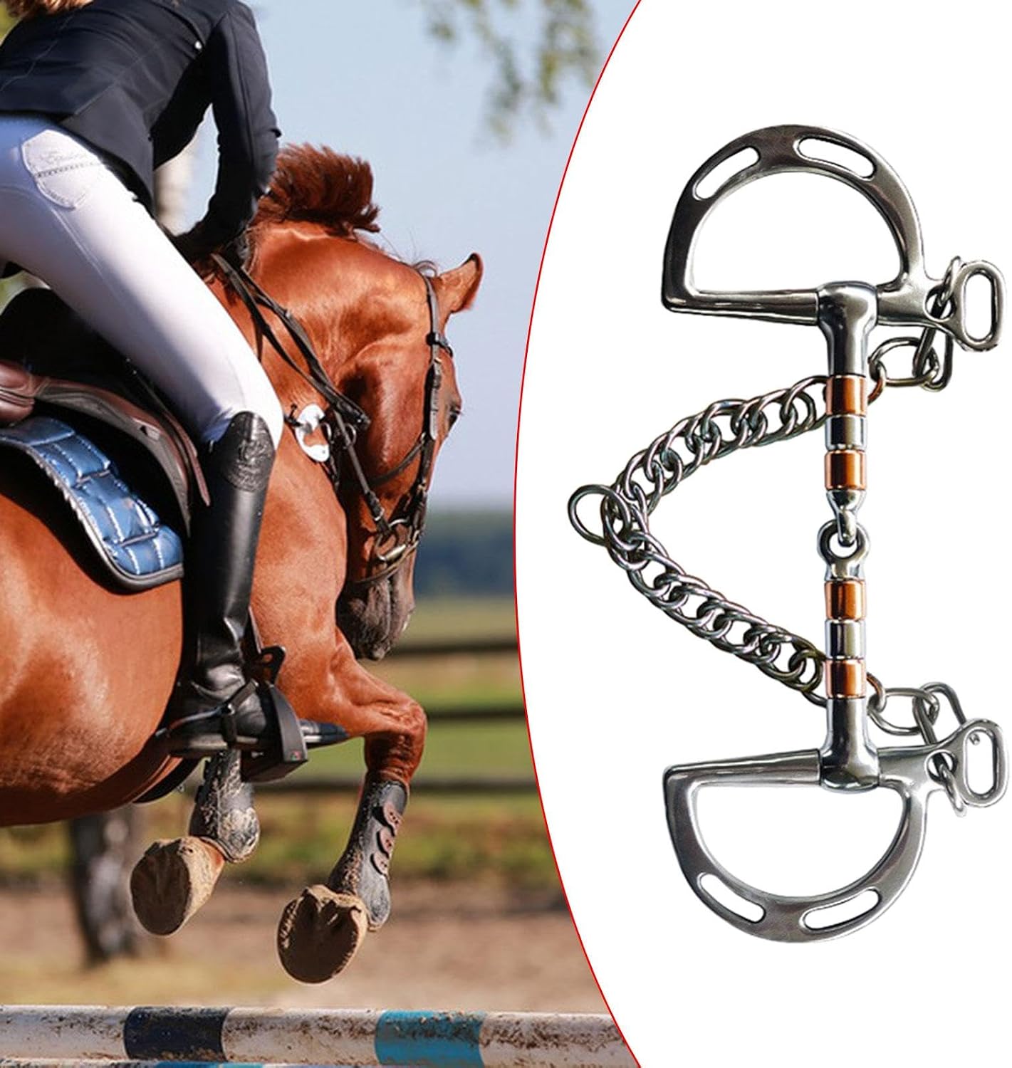 kowaku Equestrian Snaffle Bit with Curb Hook Chain for Horse Training