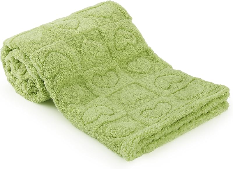 Plush Soft with Heart Checkered Baby Blanket,Fleece Infant Toddler Blankets for Girls Boys,Warm Lightweight Breathable Newborn Receiving Blankets for Crib Stroller 30"×39" (Green, Heart)