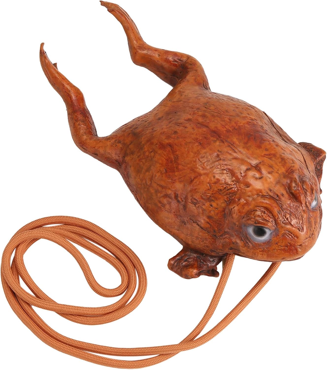 Funny Toad Wallet Individuality Animal Coin Pouch Realistic Frog Wallet Humor Decoration Storage Gifts Purse Handbag