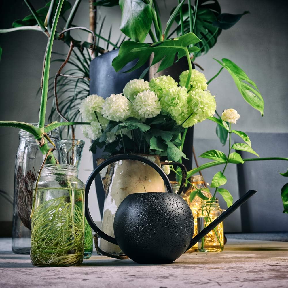 Amazon じょうろ ジョウロ 如雨露 インテリア ステンレス 高級感 おしゃれ 室内 園芸用品 ガーデン 水差し 散水用具 園芸 観葉植物 屋内 持ち運びやすい 台湾製 Re Live 日本keinn 1000ml 黒 じょうろ