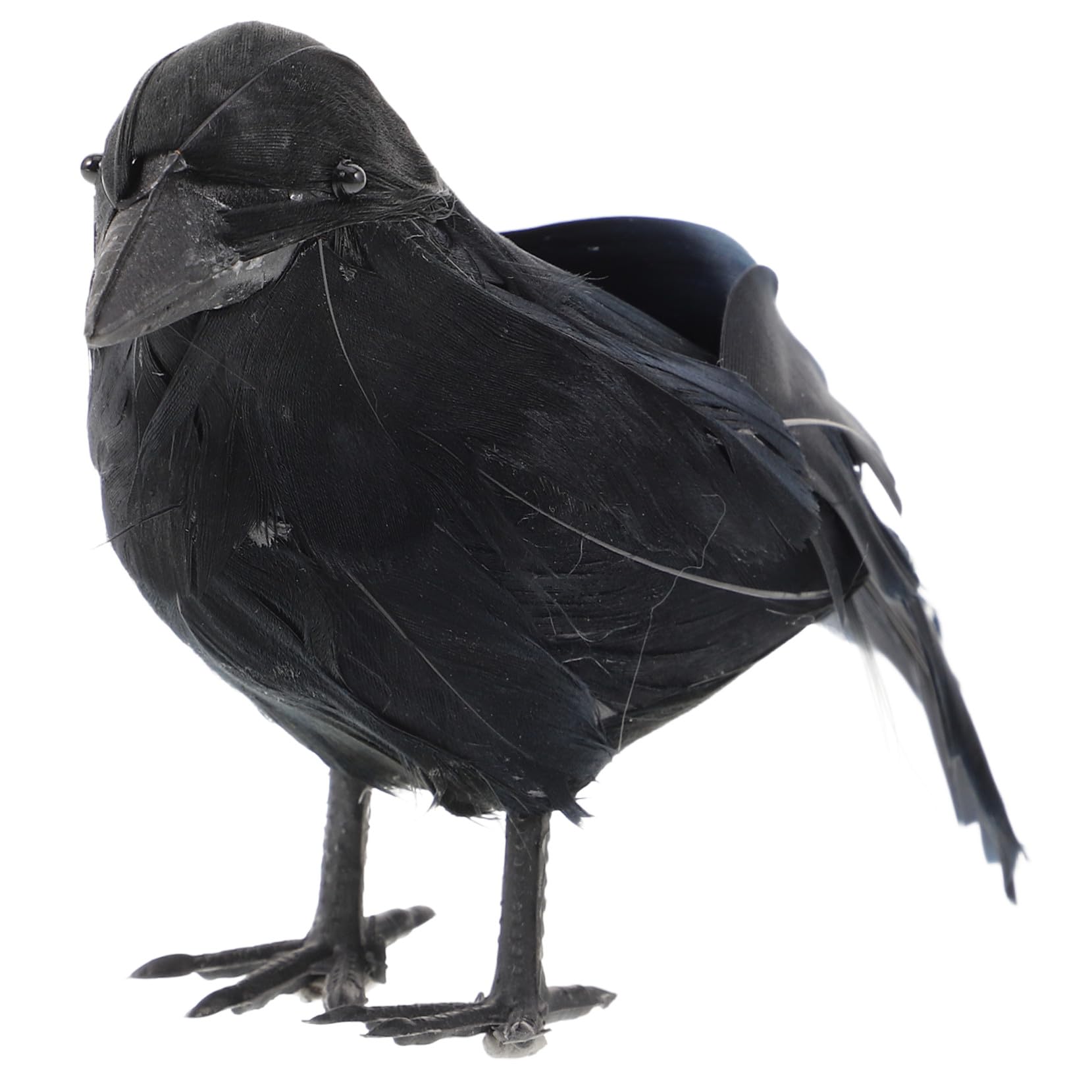 Corbeau noir réaliste d'Halloween pour frissonner dans votre jardin ou votre salon