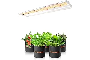 Spyder Farmer SF4000 Grow Light: Empowering Indoor Plant Growth