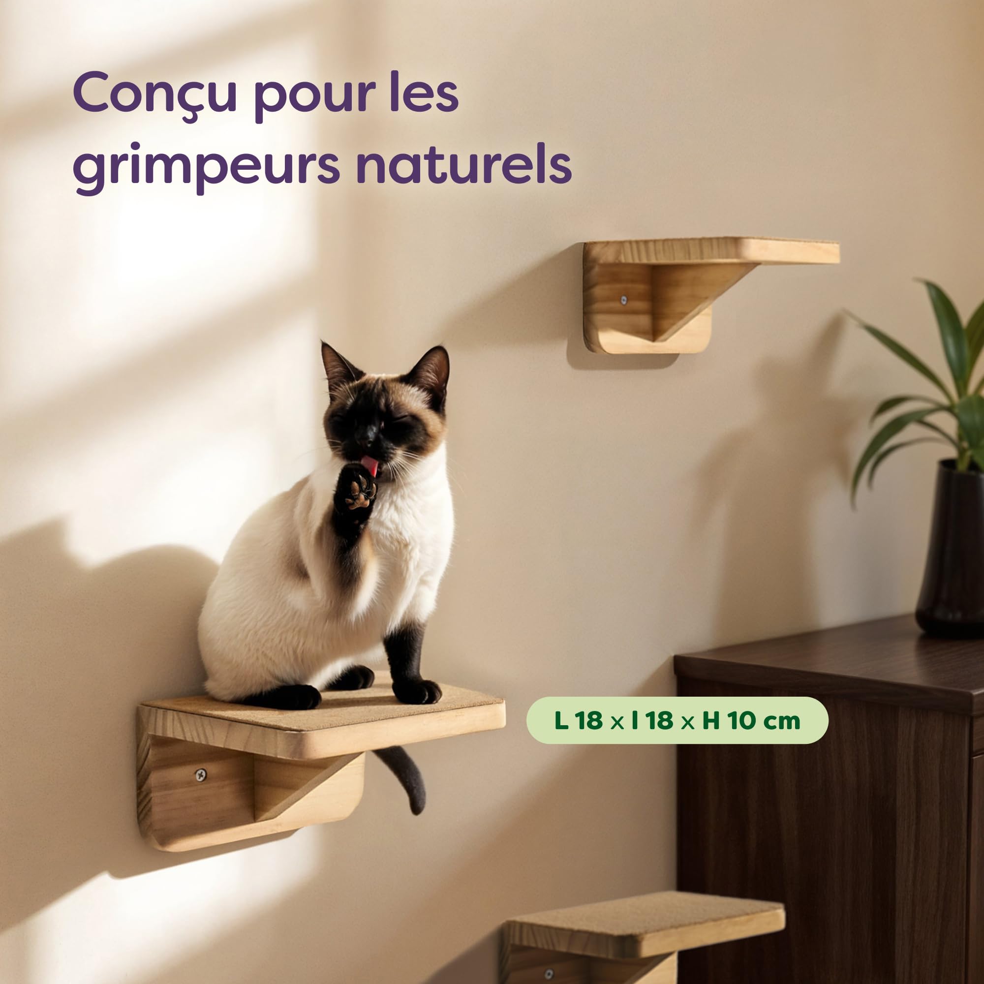 Knupis Mur d'escalade pour Chat Beige - 3 Escalier Mural pour Chat en Pin Fsc® - Non-tissé Antidérapant - Montage Facile - Charge Maximale Élevée Jusqu'à 30 Kg