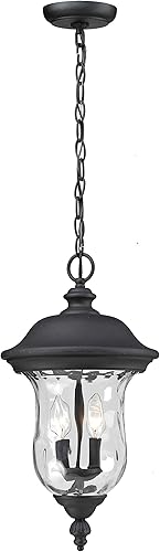 Z-Lite 533CHB-BK Armstrong - Cadena de luz para exteriores, marco de aluminio, acabado negro y sombra de vidrio de agua transparente de material de