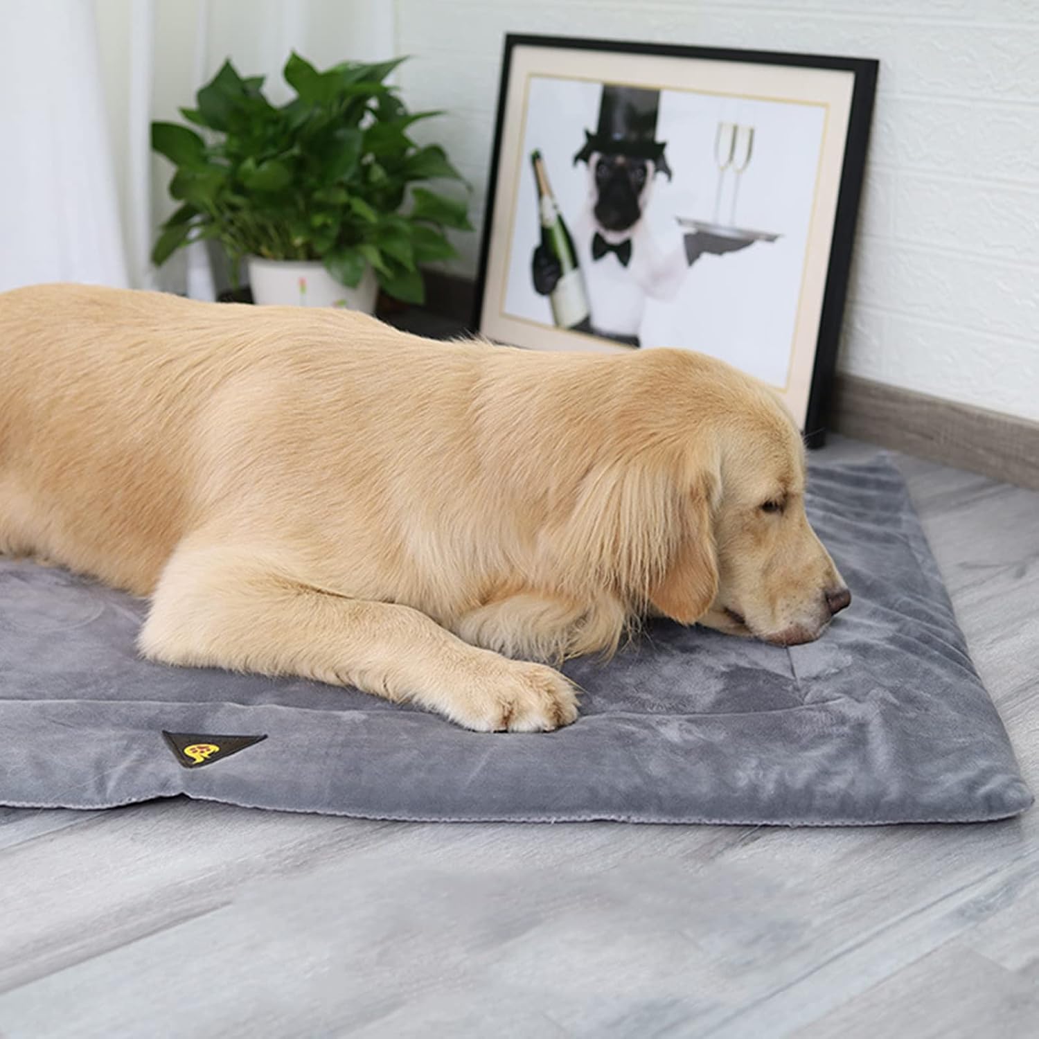 Dog Sofa Bed Cotton Comfort Plush Large Dog Bed Bottom House Washable Pet Supplies