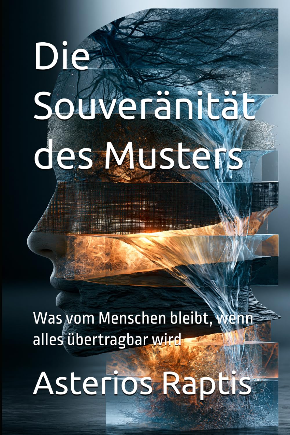 Die Souveränität des Musters: Was vom Menschen bleibt, wenn alles übertragbar wird