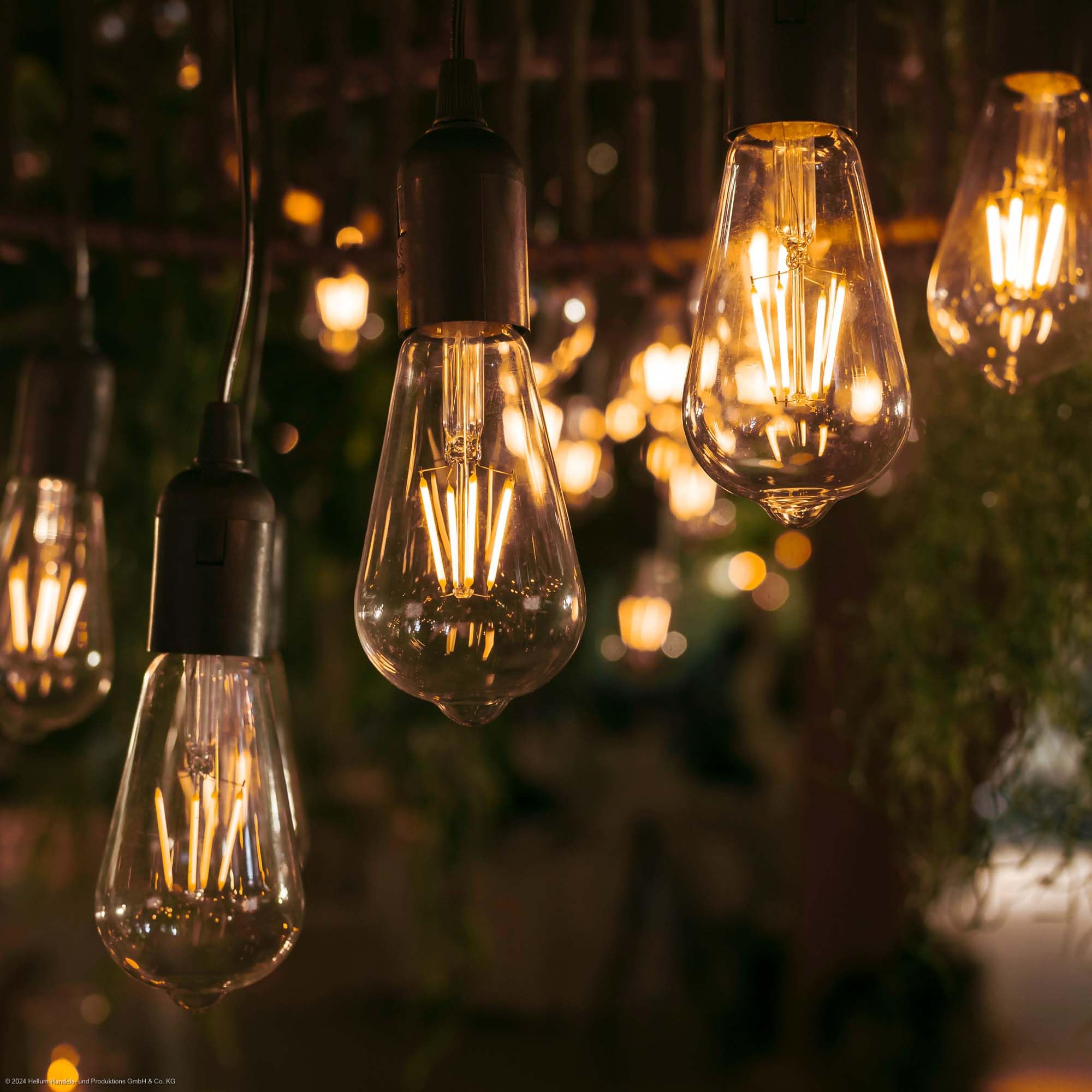 Hellum Lot de 2 lampes suspendues d'extérieur avec batterie et télécommande - Ampoule dorée avec batterie et minuterie - ST64 - Diamètre : 6,4 x 13,8 cm - Lampe suspendue pour l'extérieur avec