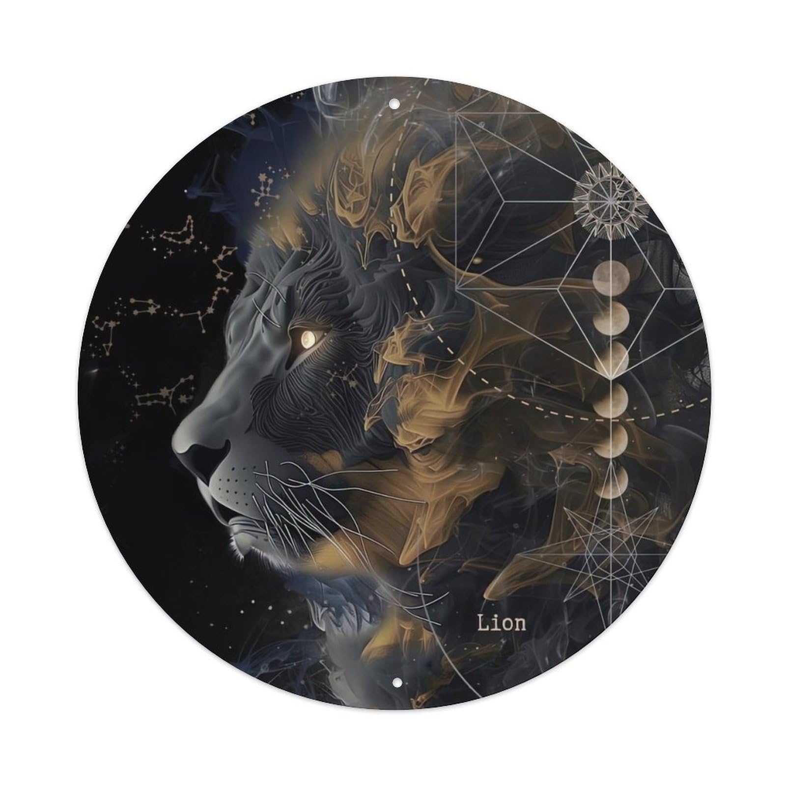 Animal The Lion in The Dark Artwork Metal Tin Sign