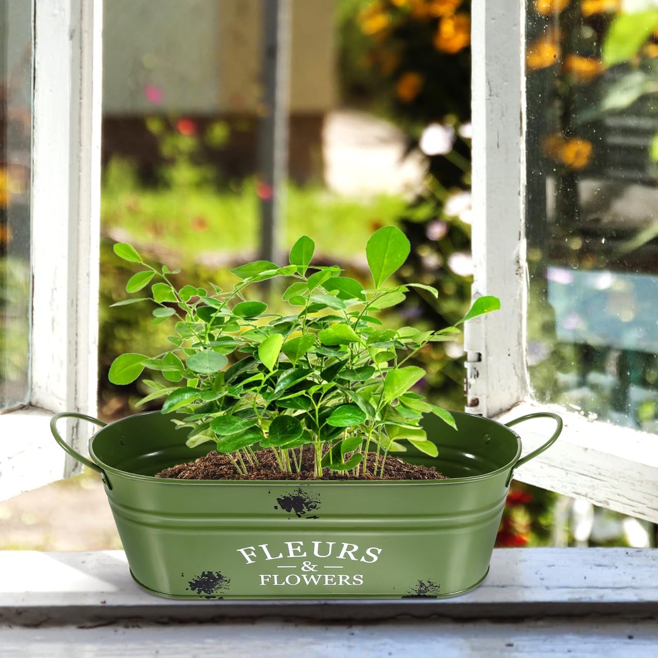 Vintage Galvanized Iron Bucket Oval Plant Planter Flowerpot Vase Rustic Garden Decor for Flowers and Succulents