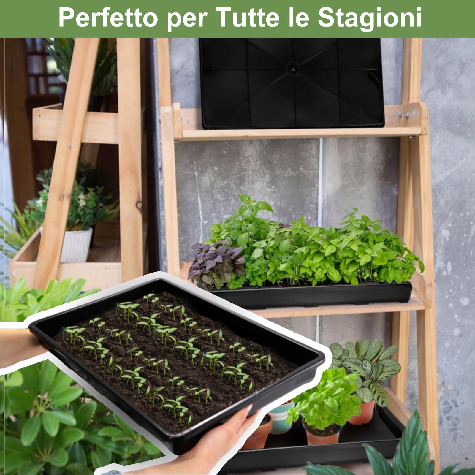 BeGrit 5 Pezzi Vassoi Semina Plastica 44 x 30 x 4,5 cm Germinazione Semina Vaschette Grande Semenzaio vassoio per microgreens rettangolari semi in plastica per Serra Idroponica Giardino Verdura Frutta