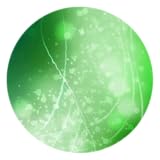 Enjoying Different Animations New Live Wallpaper