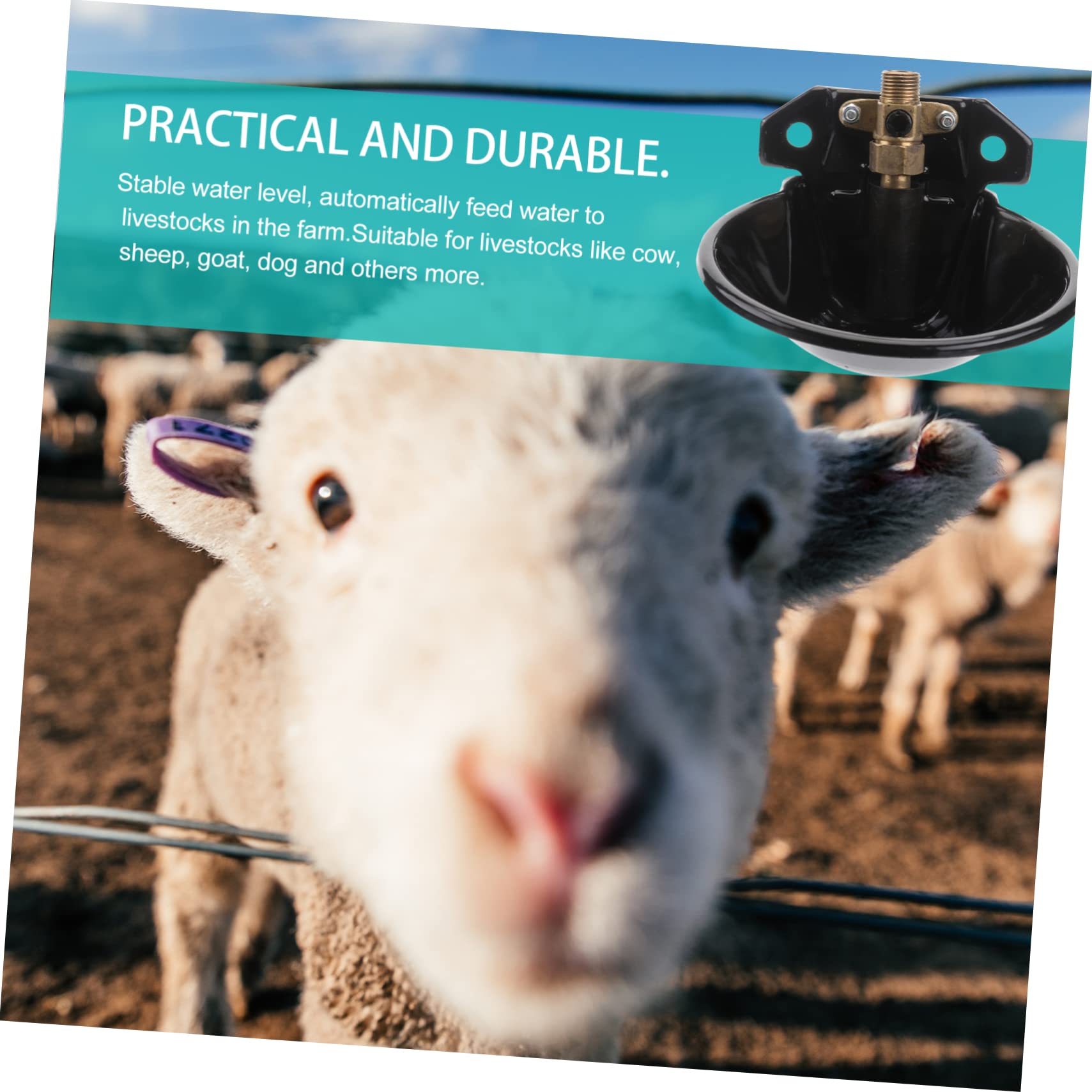 Bebedero Automático Negro Ovejas para Hierro y Cobre para Granja | Nivel de Agua Estable, Resistente Oxidación, Uso en Campo, Compatible Vacas y Cabras