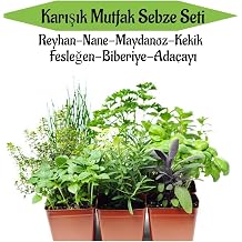 Gardenbox Mutfak Sebze Seti, Reyhan, Nane, Kekik, Fesle en, Biberiye, Ada ay  Fidesi, 6 Adet