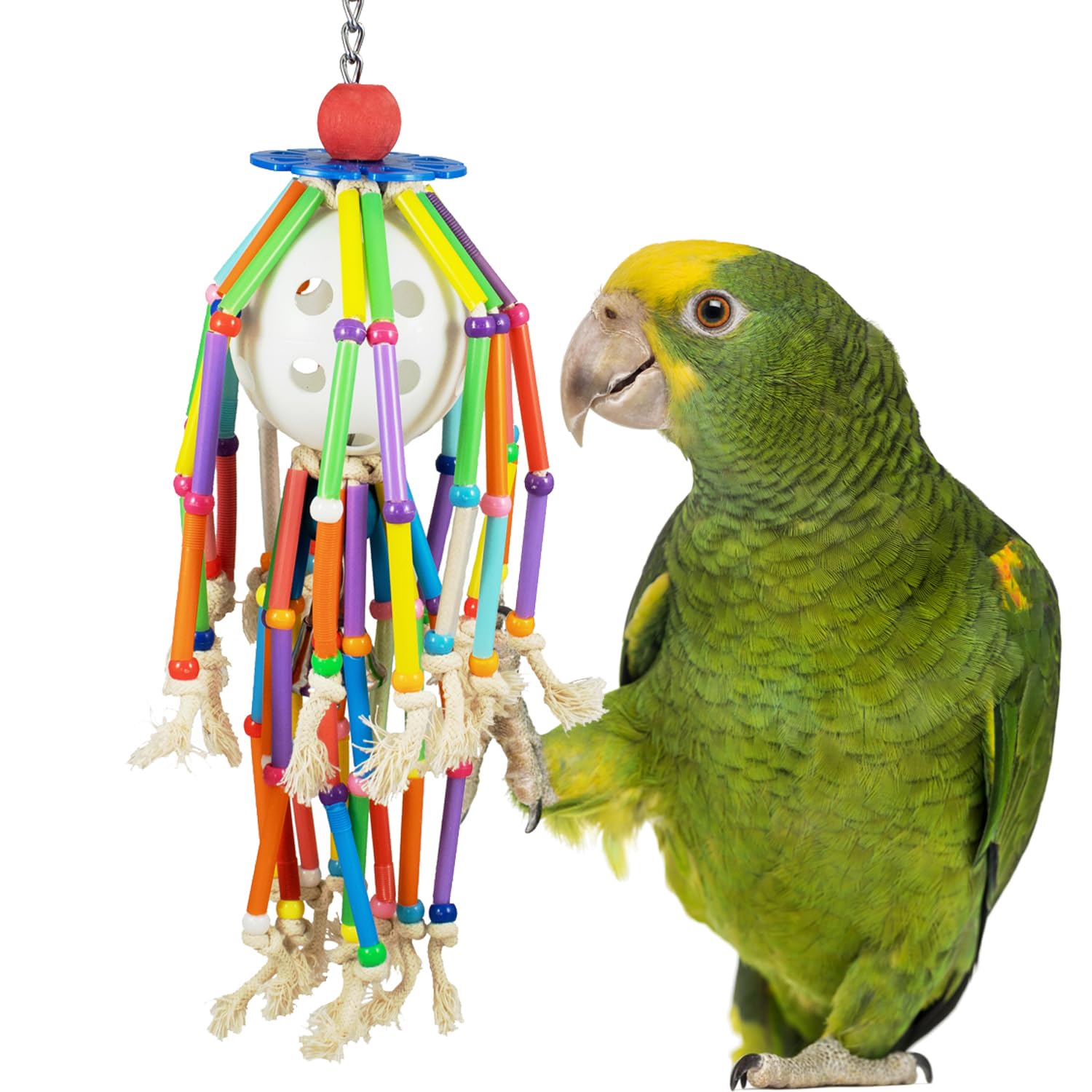 Super Bird Creations SB1205 Squiggy Bird Toy - Satisfies Chewing and Preening Behavior - Interactive Parrot Toy - Ringnecks Medium Conures African Greys Eclectus - Ideal for Medium to Large Bird Size