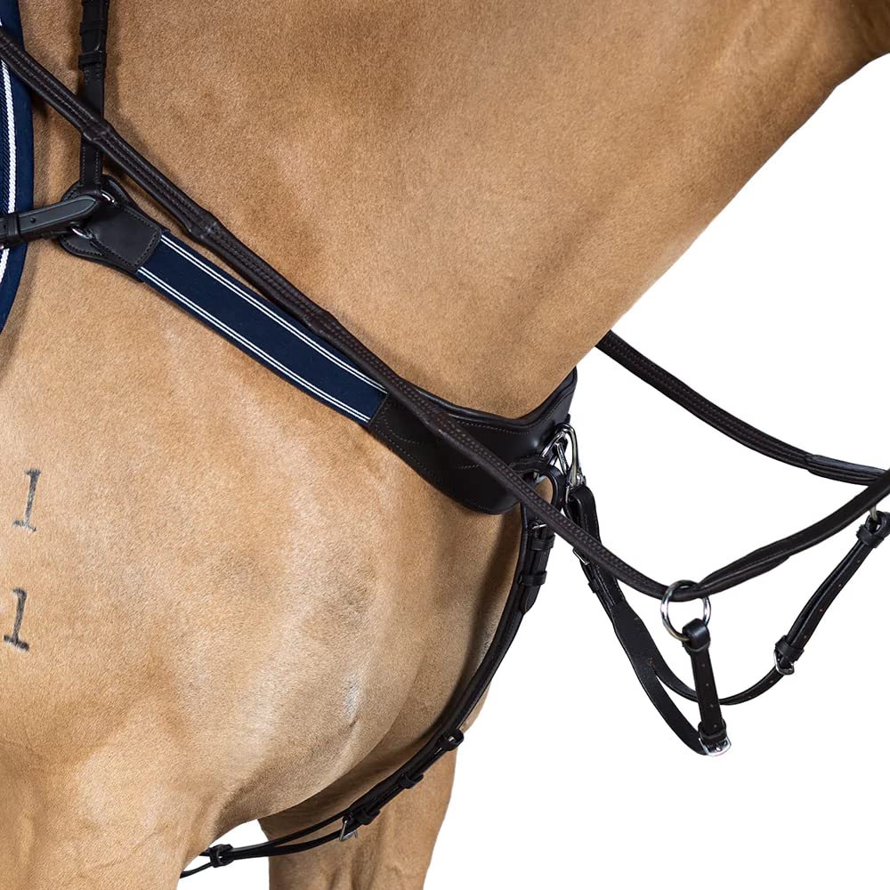 Modified Bridge Breastplate - with Blue and White Elastics Havana Cob